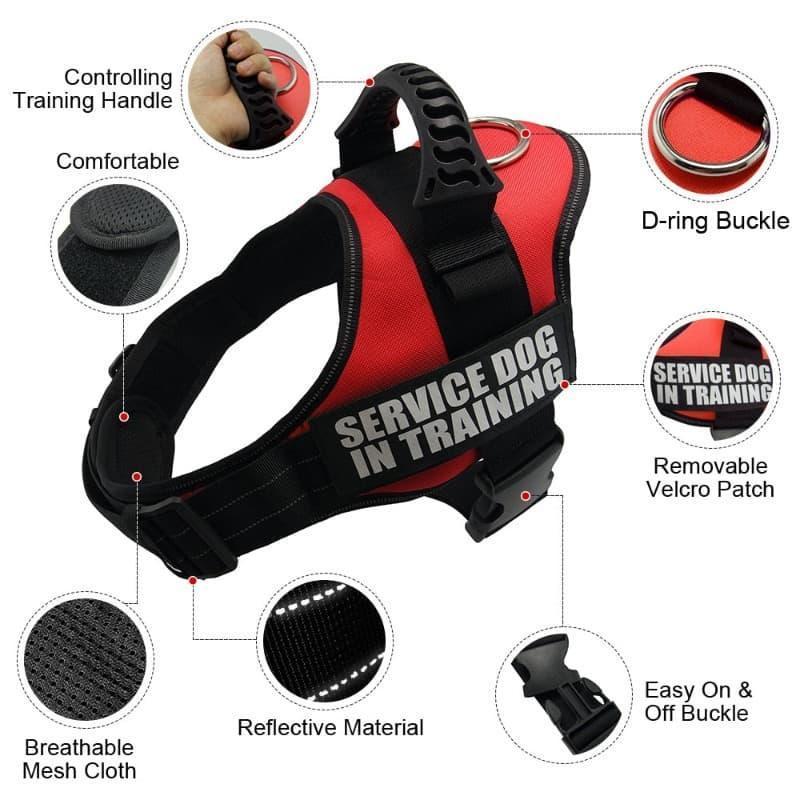K9 Personalized Lift Handle Back Clip Harness Vest - 6: FancyPetTags.com