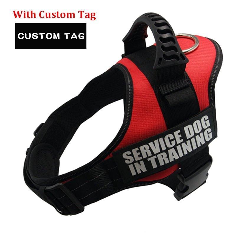 K9 Personalized Lift Handle Back Clip Harness Vest - 17: FancyPetTags.com