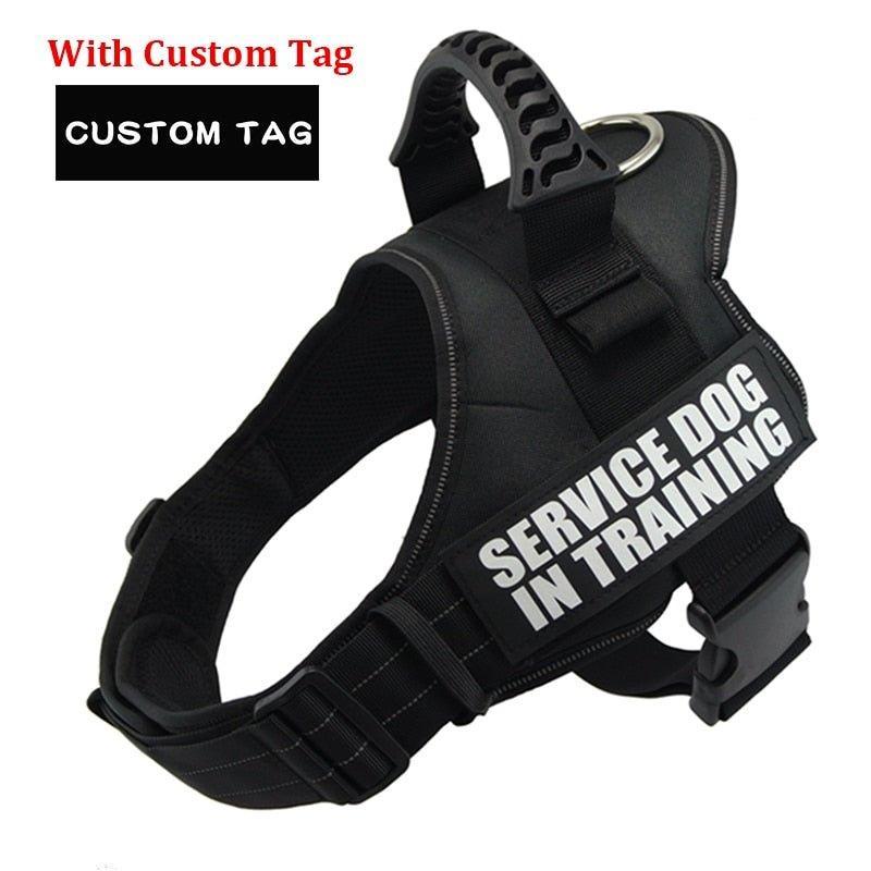 K9 Personalized Lift Handle Back Clip Harness Vest - 16: FancyPetTags.com