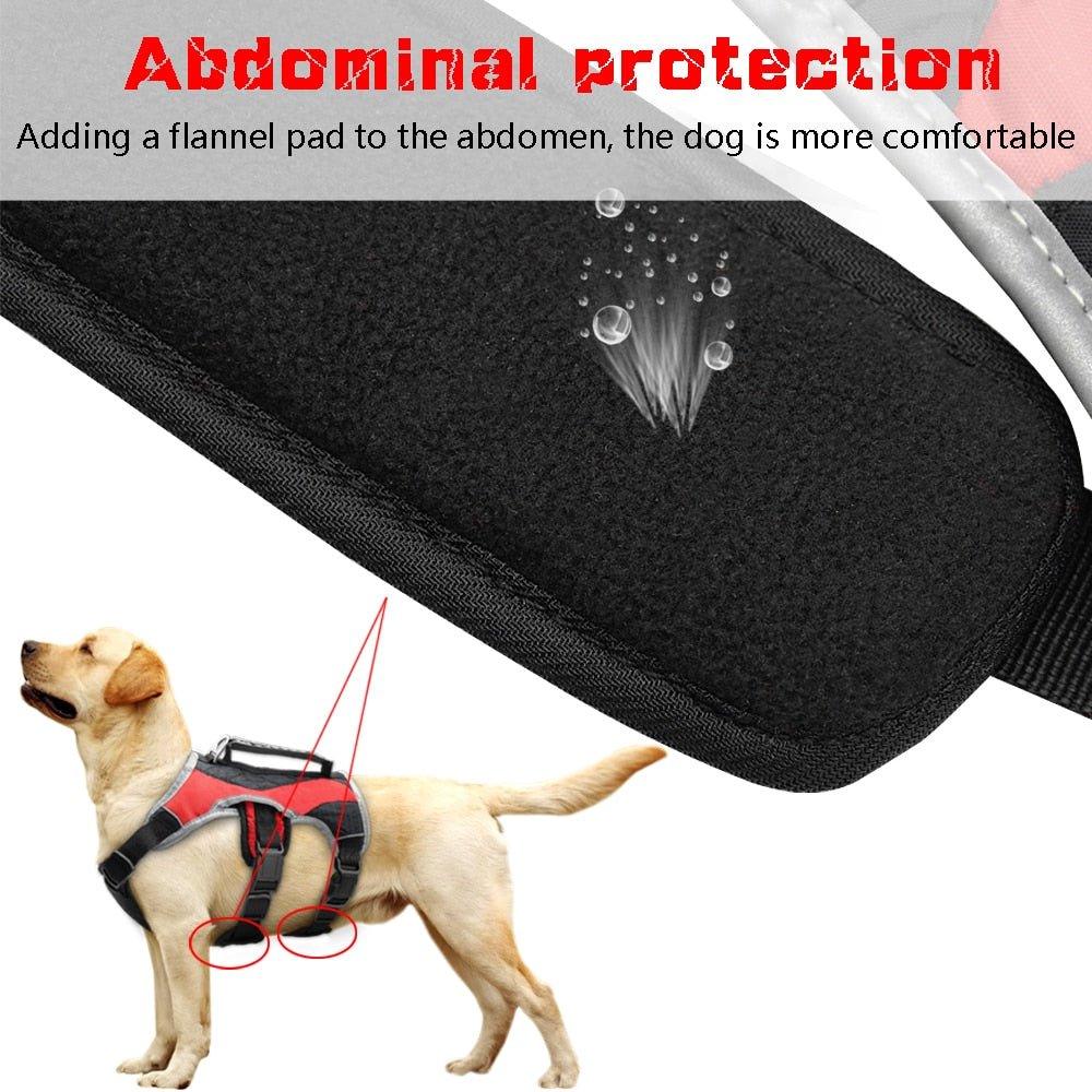 Large Dog Lift Handle No Pull Harness - 6: FancyPetTags.com