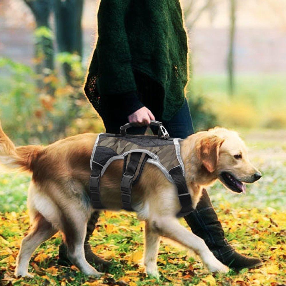 Large Dog Lift Handle No Pull Harness - 2: FancyPetTags.com