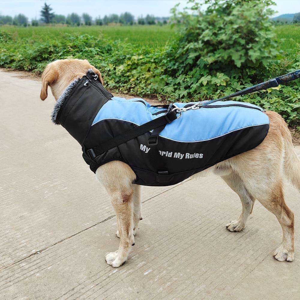 'My World My Rules' Back Clip Winter Harness Vest Jacket - PetTagCollars.com