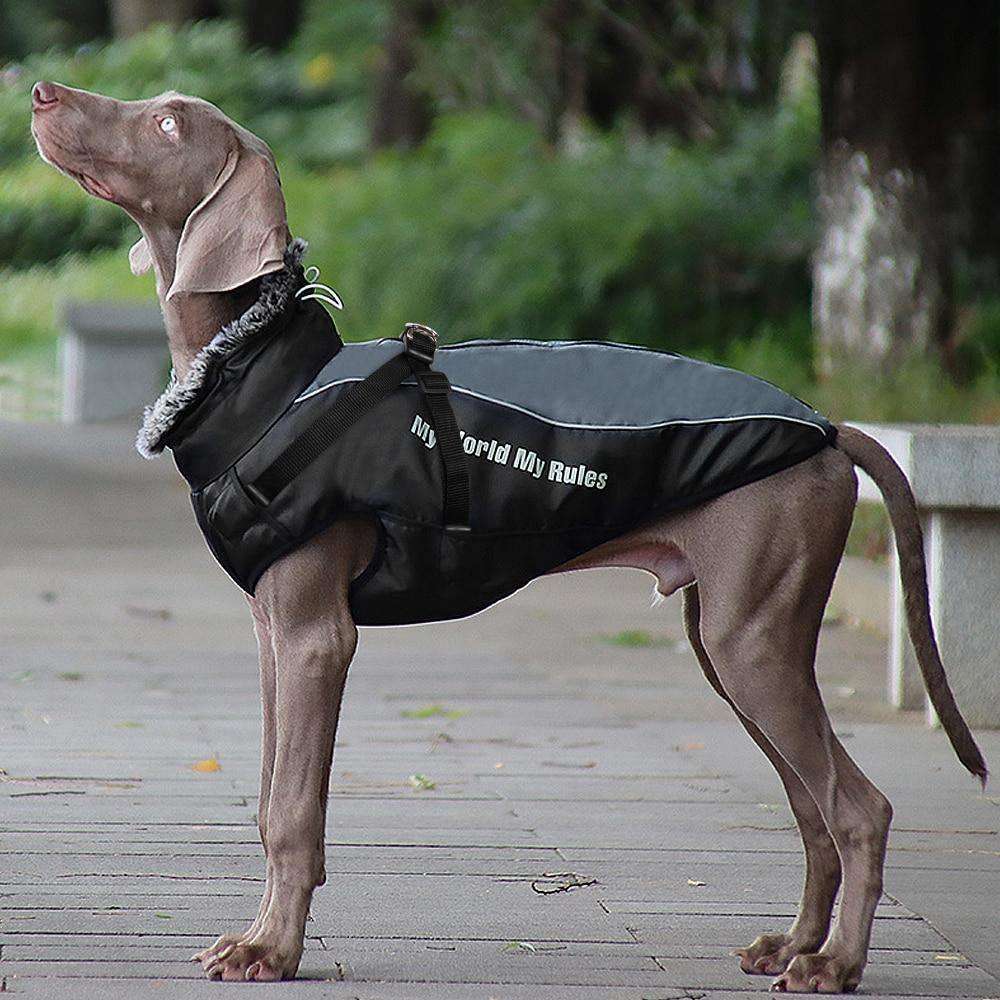 'My World My Rules' Back Clip Winter Harness Vest Jacket - PetTagCollars.com