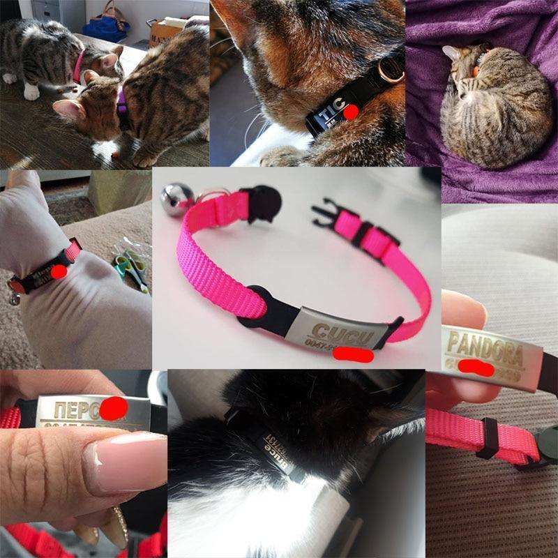 Nametag Rainbow Paw Collar with Bell - PetTagCollars.com