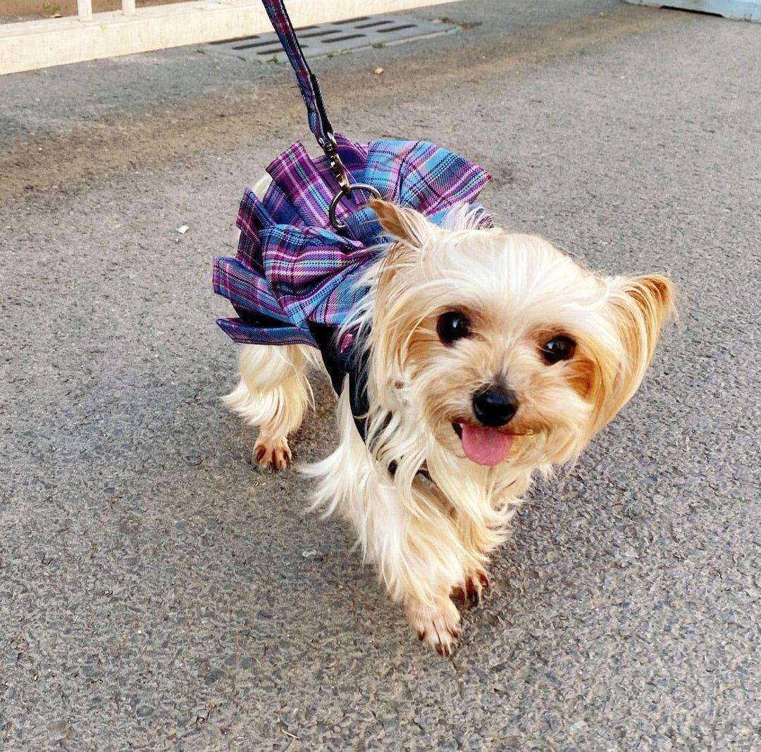 Darling Plaid Dress Back Clip Harness Leash Combo - PetTagCollars.com