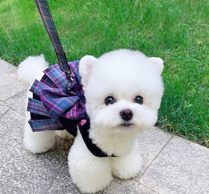No Pull Darling Dress Harness Leash Combo - 3: FancyPetTags.com