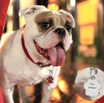 Paw Glitter (Fixed Block Font) - PetTagCollars.com