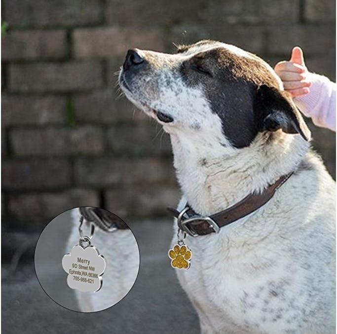 Paw Glitter (Fixed Block Font) - PetTagCollars.com