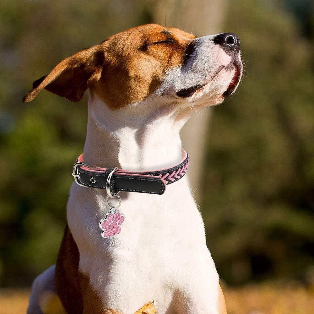 Paw Glitter (Fixed Block Font) - PetTagCollars.com