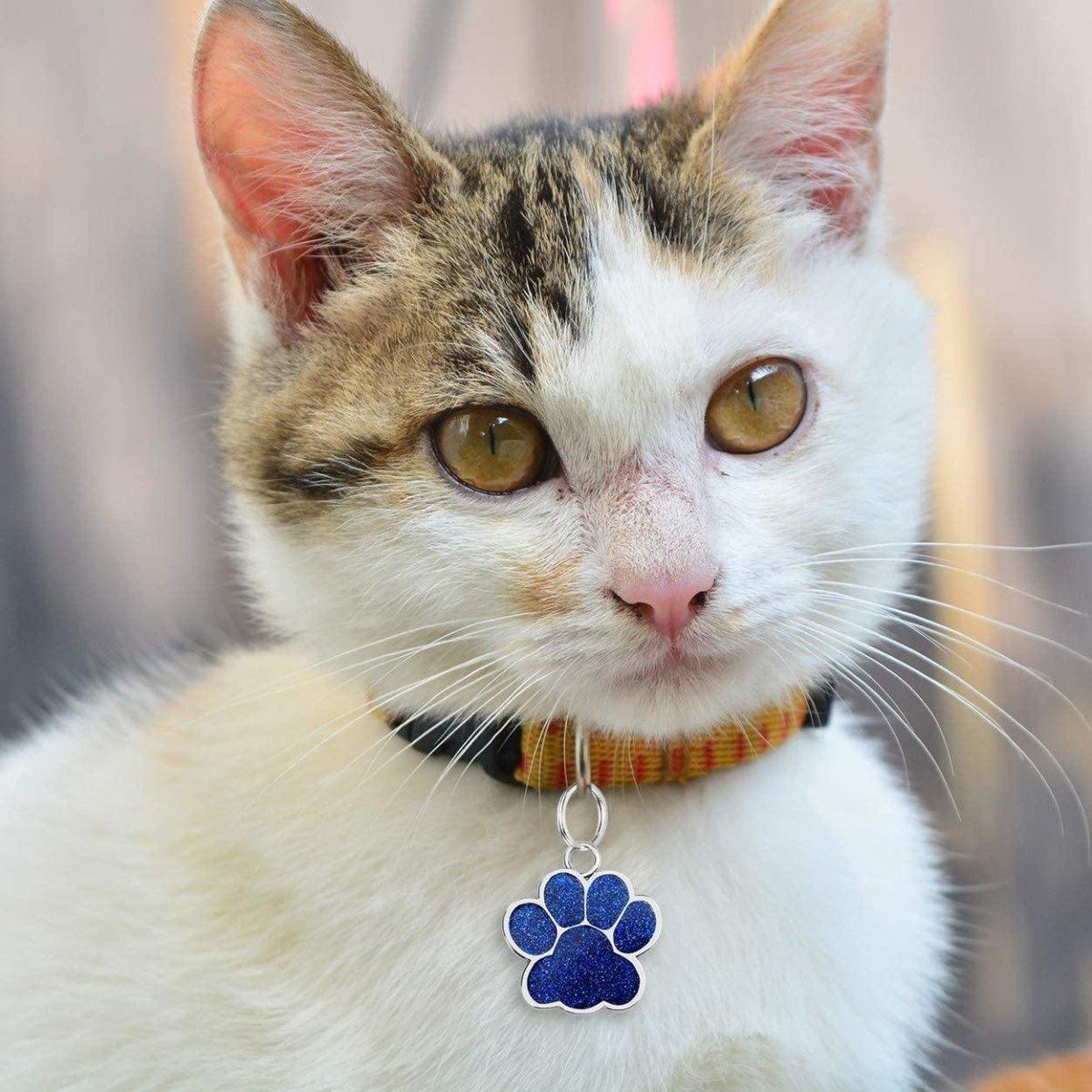 Paw Glitter (Fixed Block Font) - PetTagCollars.com