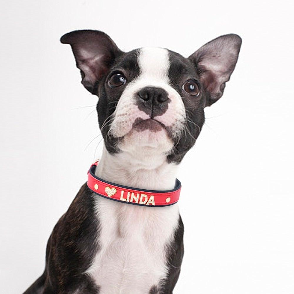 Personalized Bling Bling Rhinestone Charm Collar - 5: FancyPetTags.com