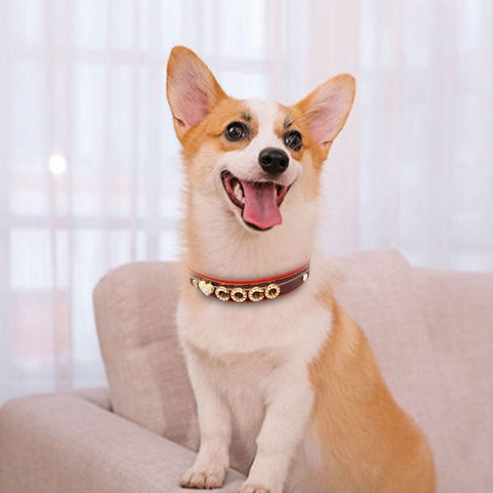 Personalized Bling Bling Rhinestone Charm Collar - 9: FancyPetTags.com