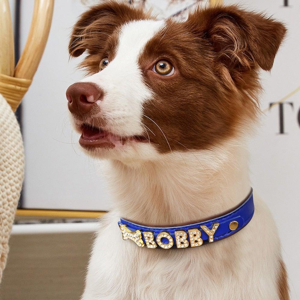 Personalized Bling Bling Rhinestone Charm Collar - 11: FancyPetTags.com