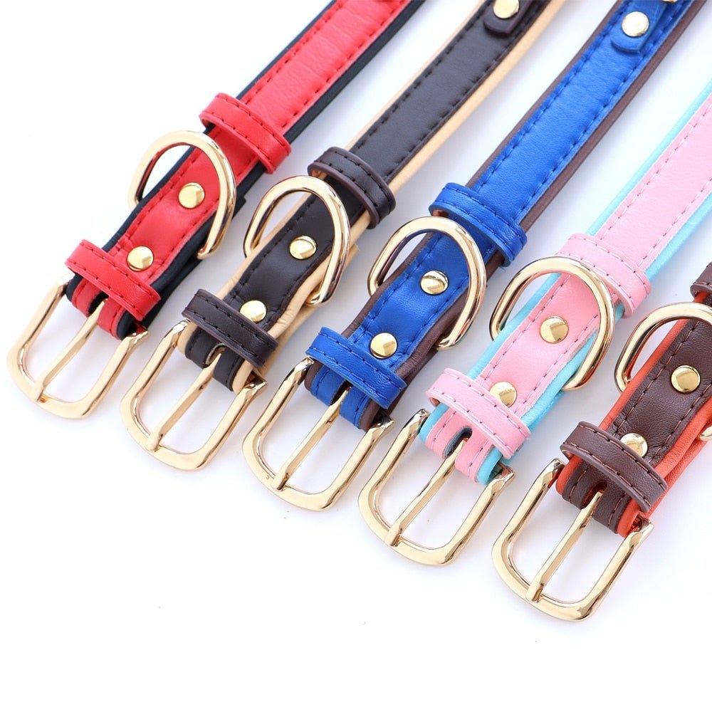 Personalized Bling Bling Rhinestone Charm Collar - 16: FancyPetTags.com