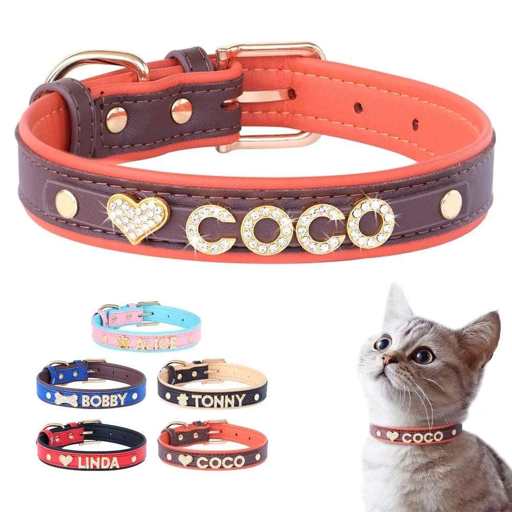 Personalized Charm Collar - PetTagCollars.com