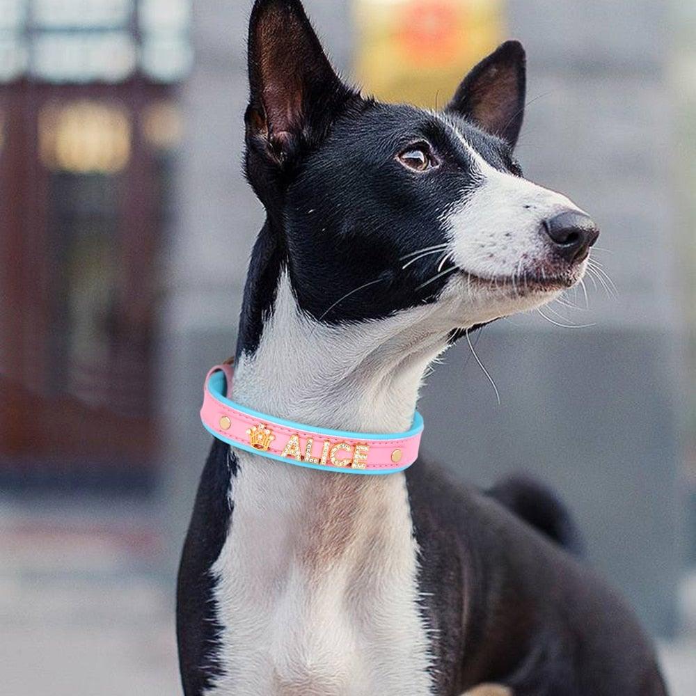 Personalized Bling Bling Rhinestone Charm Collar - 10: FancyPetTags.com