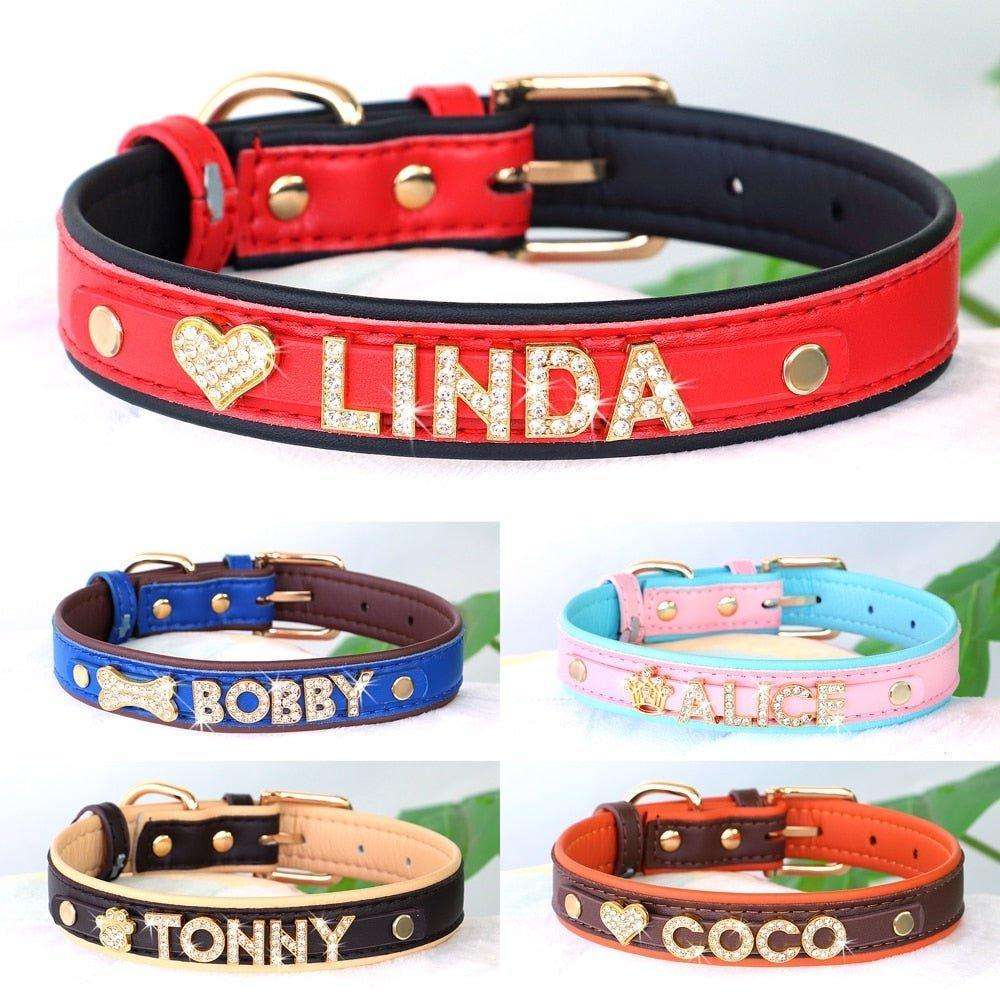 Personalized Charm Collar - PetTagCollars.com