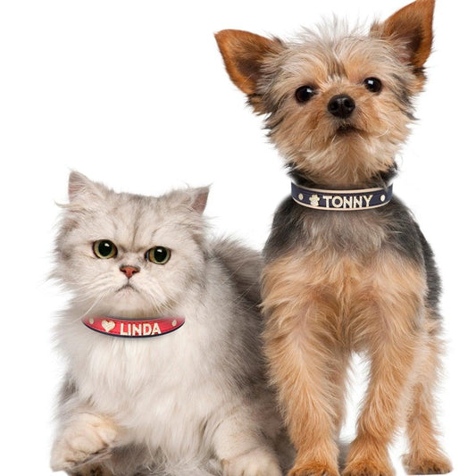 Personalized Bling Bling Rhinestone Charm Collar - 4: FancyPetTags.com