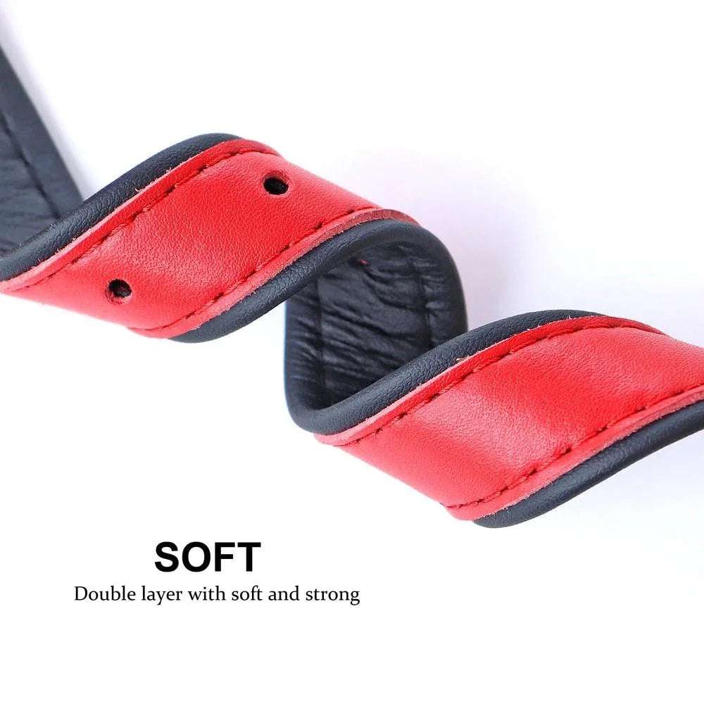 Personalized Charm Collar - PetTagCollars.com