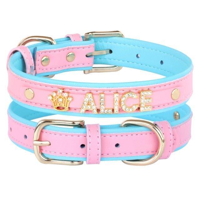 Personalized Charm Collar - PetTagCollars.com