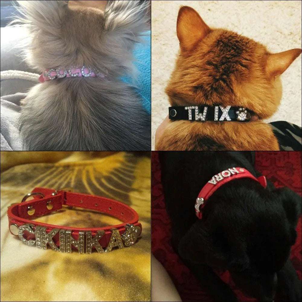 Sparkle & Shine Personalized Collar - PetTagCollars.com