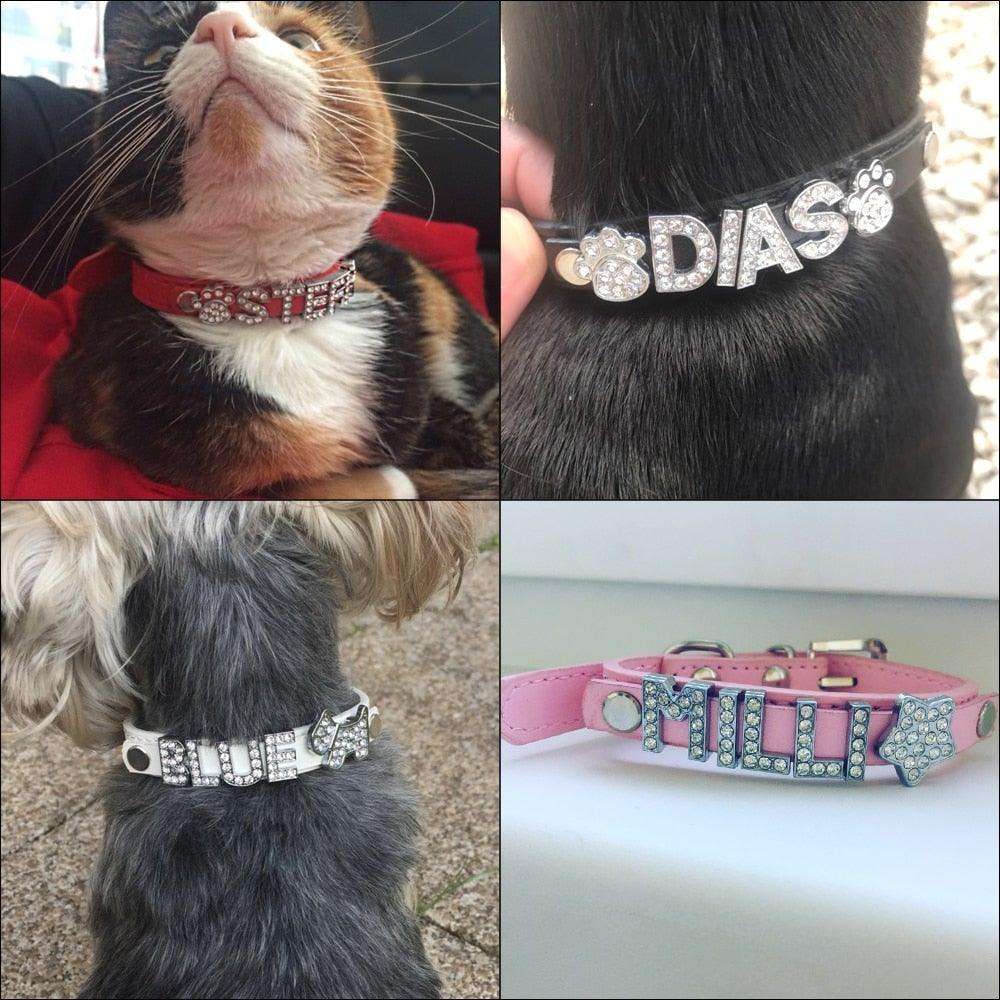 Sparkle & Shine Personalized Collar - PetTagCollars.com