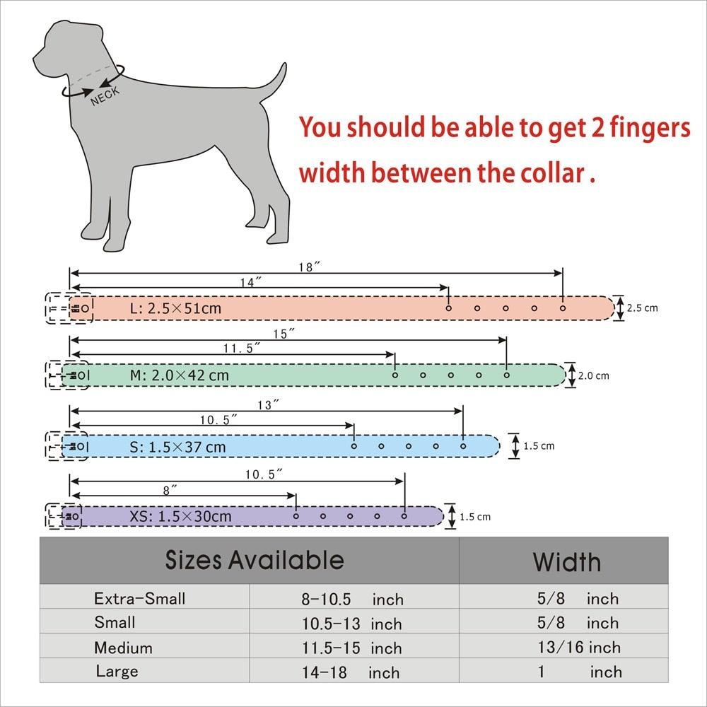 Personalized Bling Bling Rhinestone Collar - 13: FancyPetTags.com