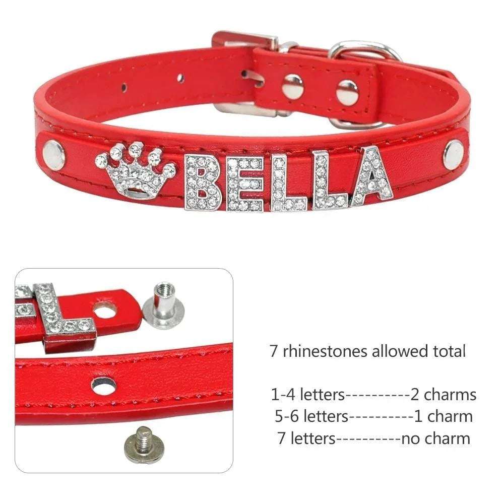 Sparkle & Shine Personalized Collar - PetTagCollars.com