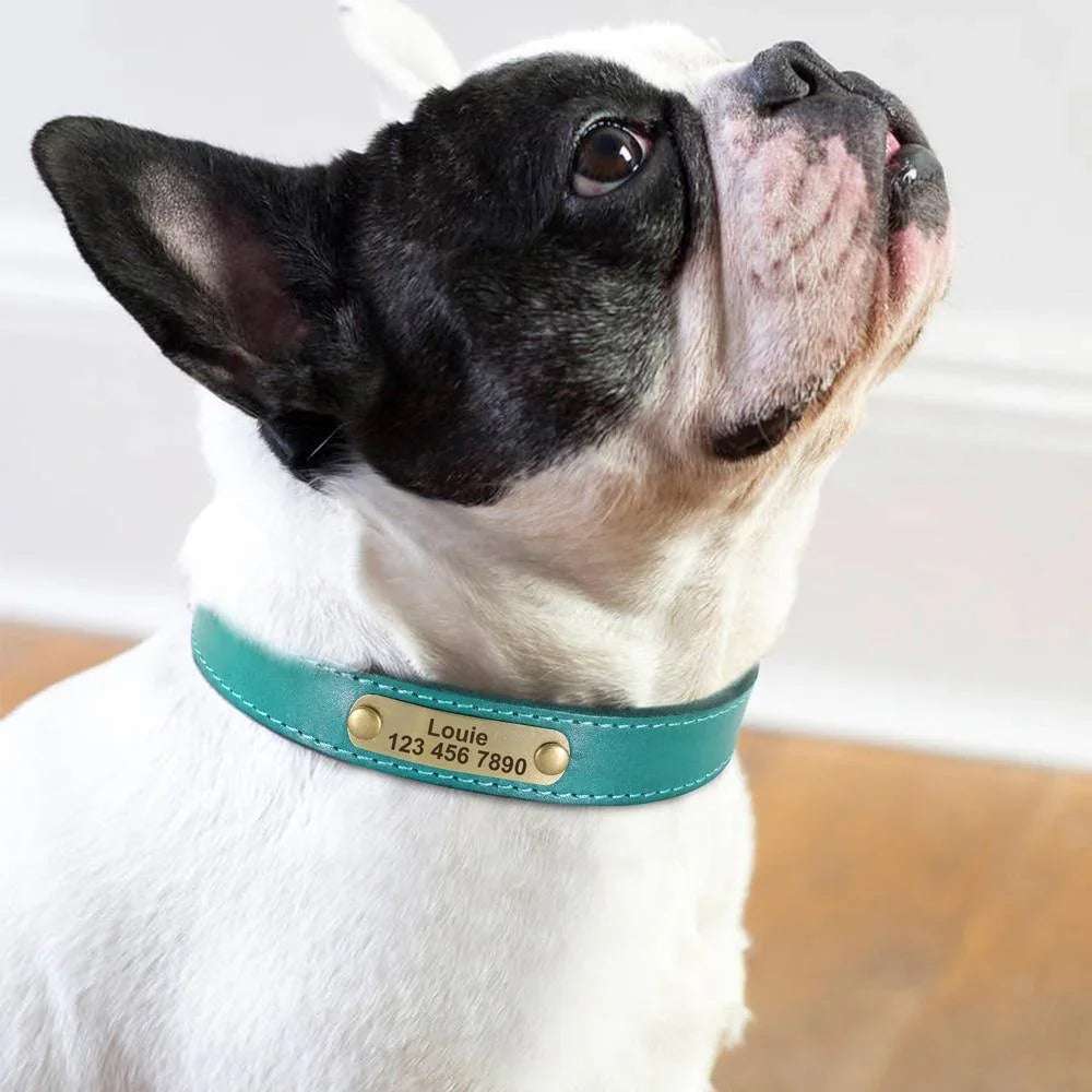 Luxe Leather Pet Collars - PetTagCollars.com