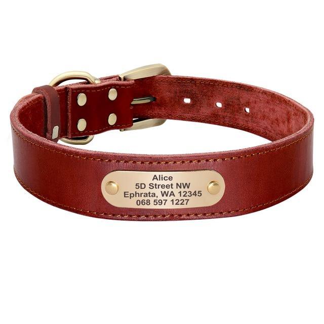 Personalized Genuine Leather Collar FancyPetTags