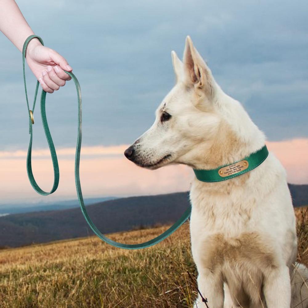 Personalized Genuine Leather Collar FancyPetTags