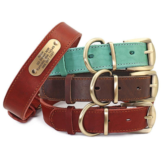Personalized Genuine Leather Collar FancyPetTags