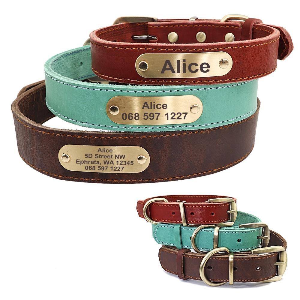 Personalized Genuine Leather Collar FancyPetTags