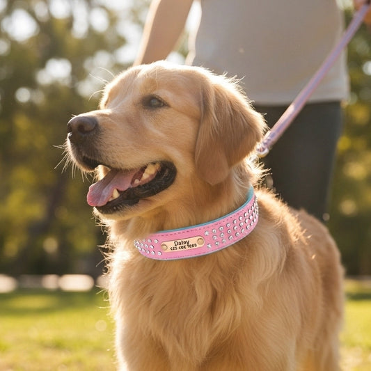 Dazzling Bling Bling Personalized Dog Collar