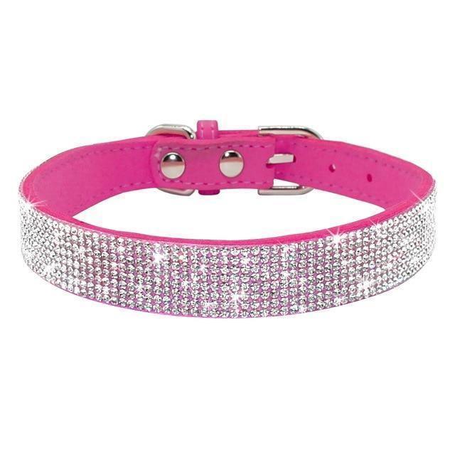 Stunning Bling Bling Leather Collar - PetTagCollars.com