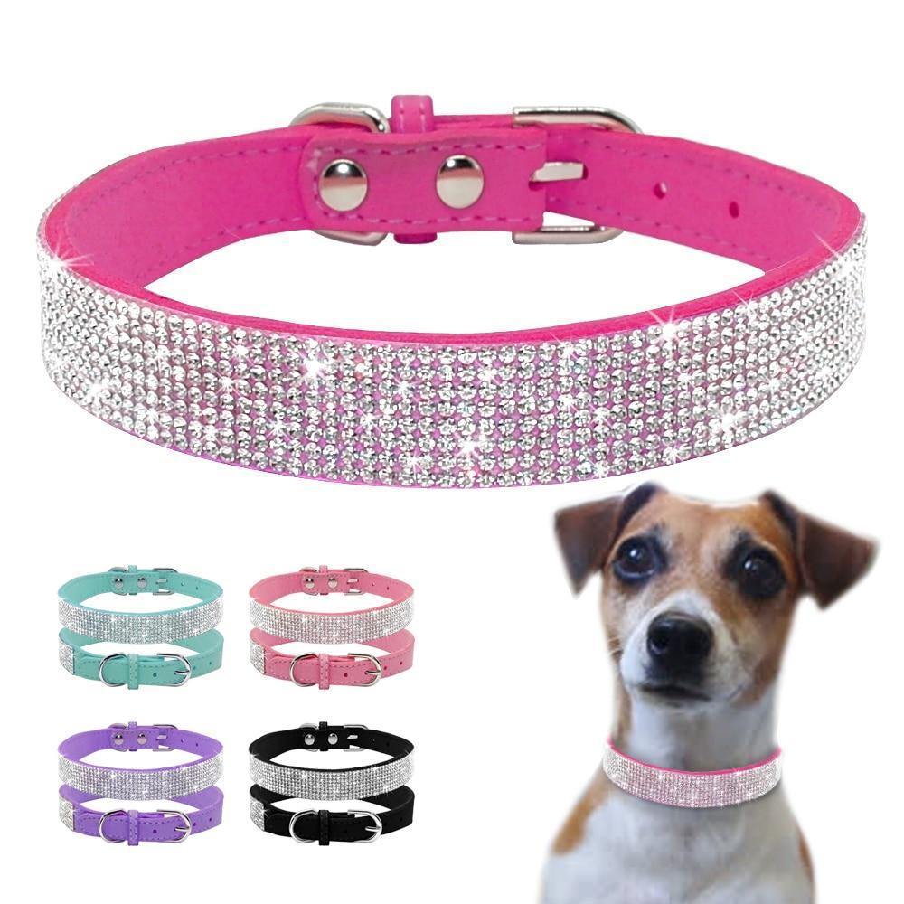 Bling Bling Leather Collar Haoyeer