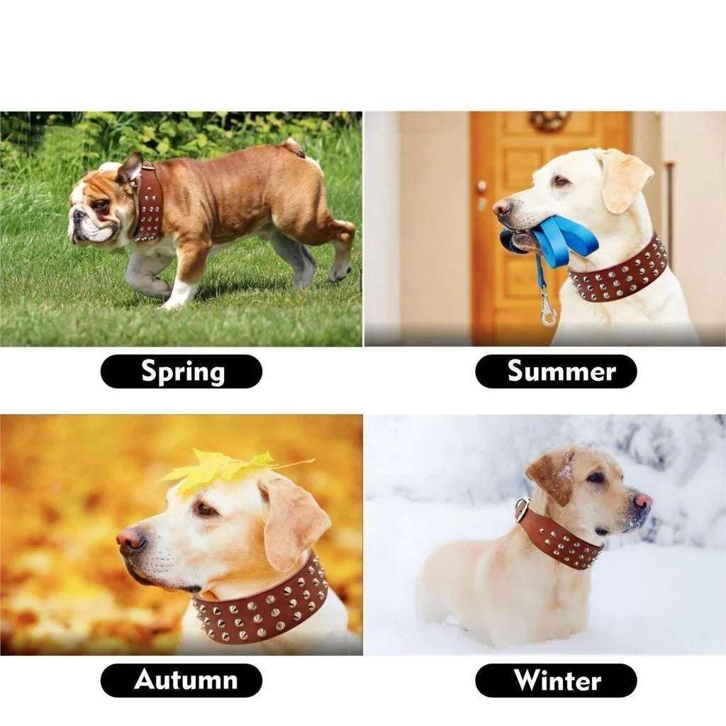 SpikeGuard Leather Collar - PetTagCollars.com