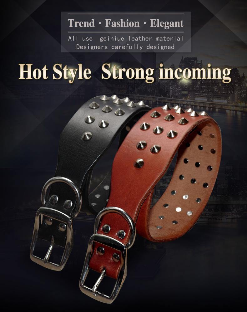 Rivets Studded Genuine Leather Collar Pet Artist