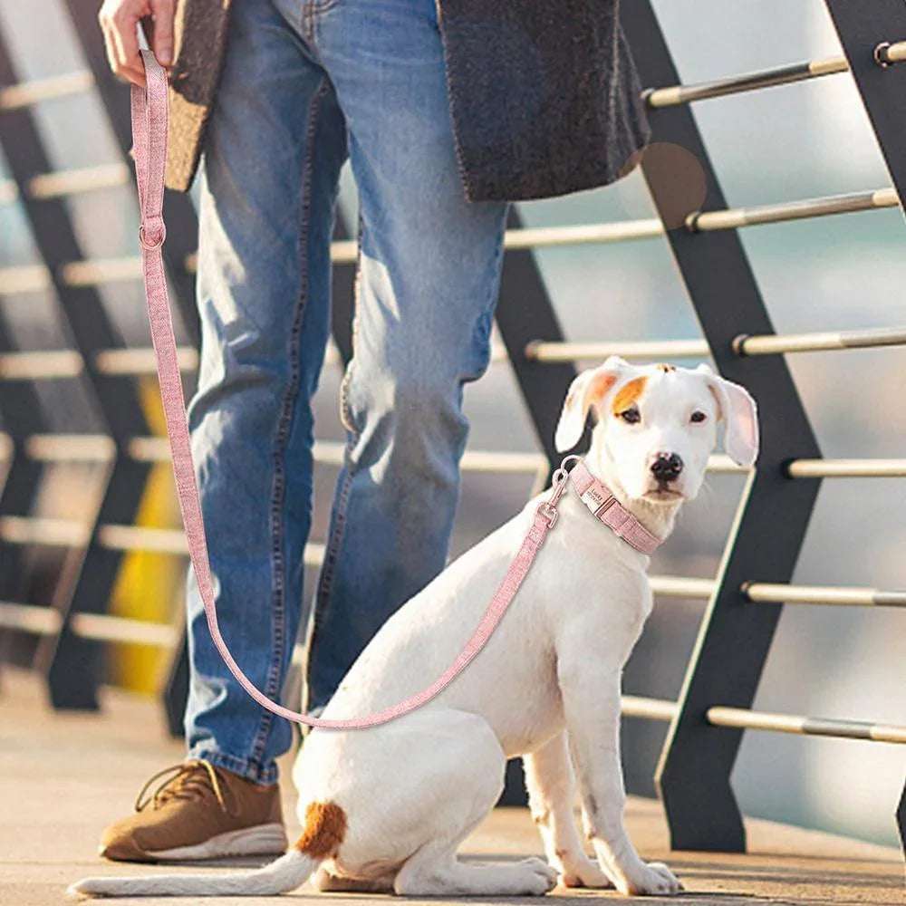 Rosy Paws Luxe Set - PetTagCollars.com