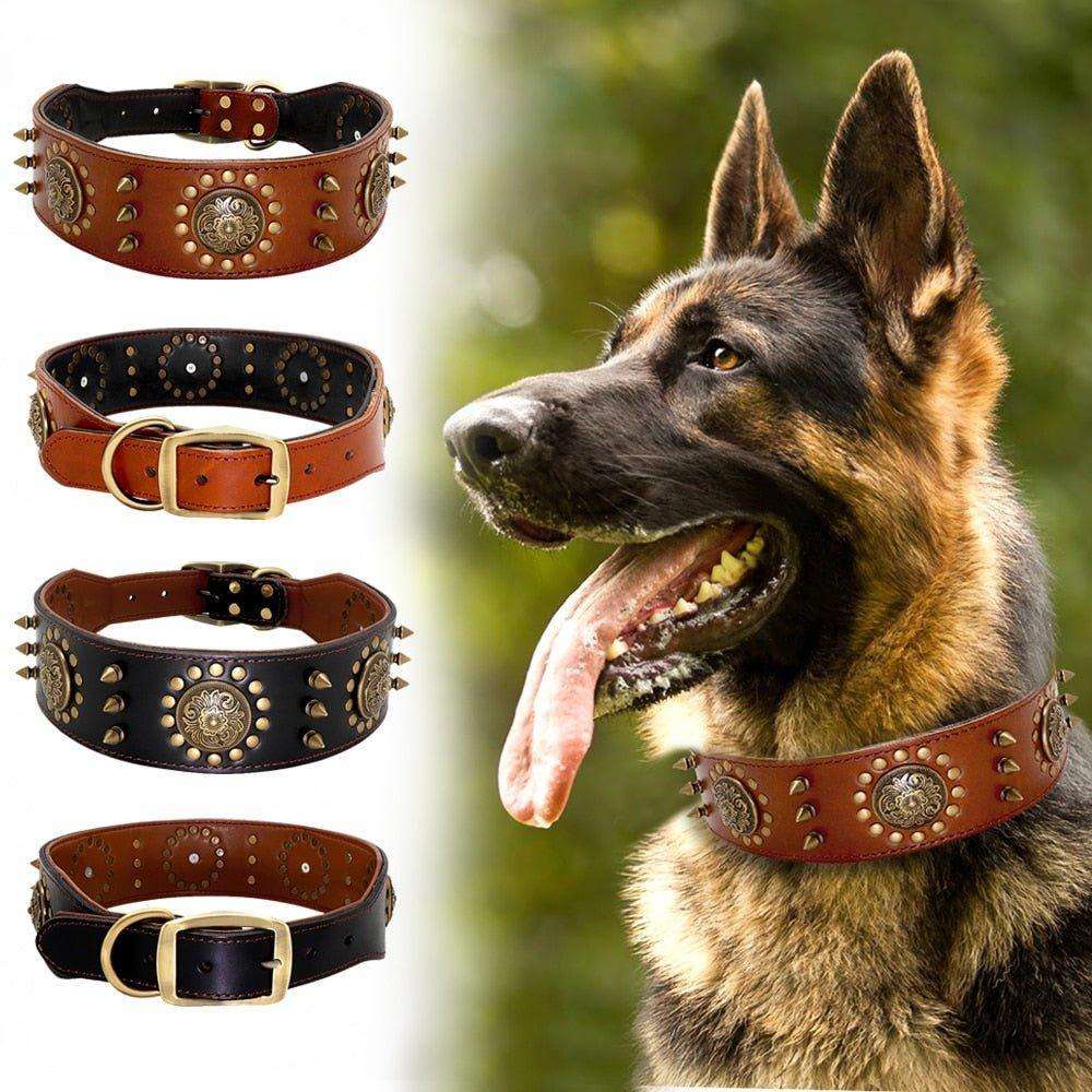 Spiked Majesty Leather Collar - PetTagCollars.com