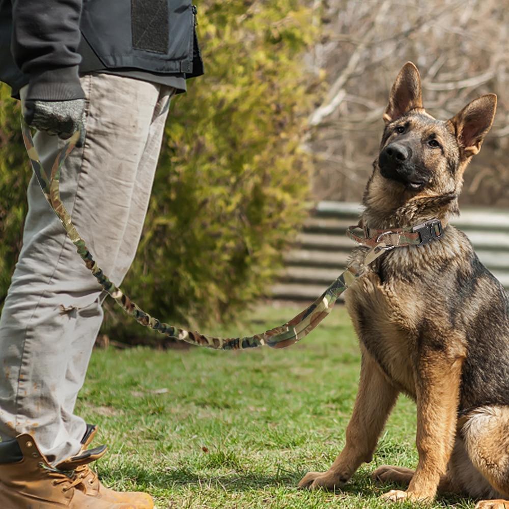 Bungee Buddy Tactical Leash - PetTagCollars.com