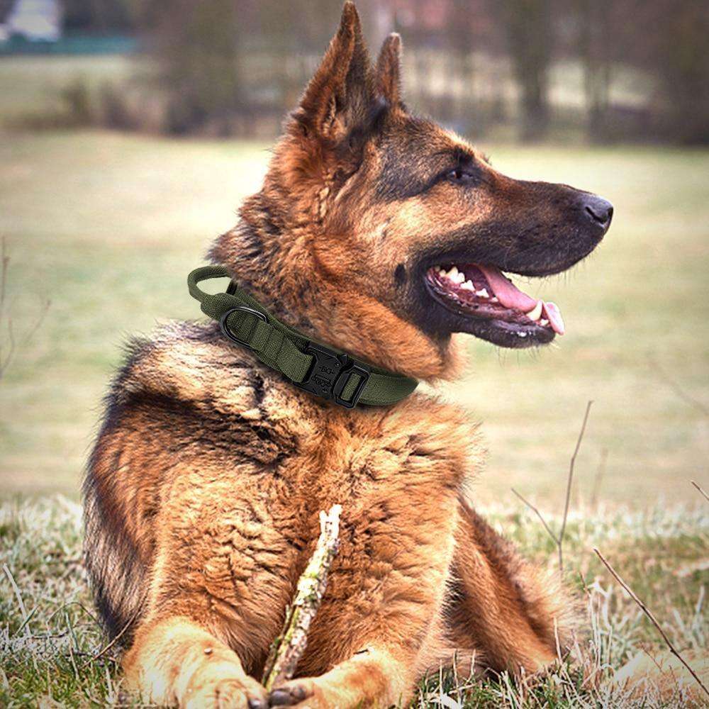 Elite Grip Tactical Dog Collar - PetTagCollars.com