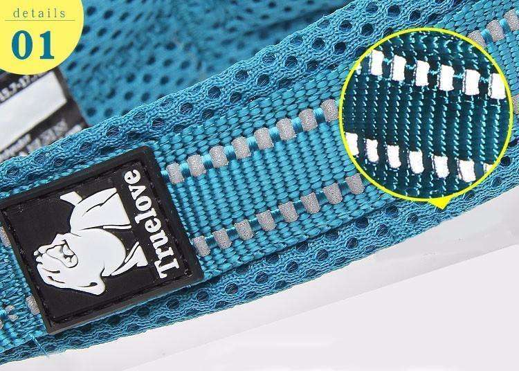 Truelove Front-Buckle Reflective Collar - PetTagCollars.com